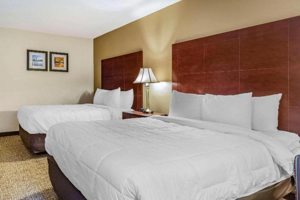 Comfort Inn Foxboro - Mansfield Foxborough Kültér fotó